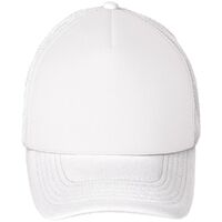 gi-01668102TUN