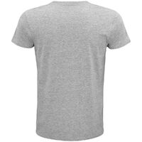 gi-035653504XL