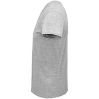 gi-03565350XXL