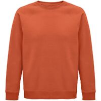 gi-035674033XL