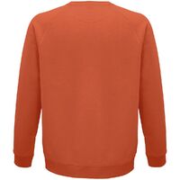 gi-035674033XL