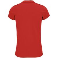 gi-035751453XL