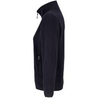 gi-038243183XL