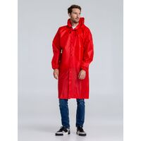 gi-11123.500
