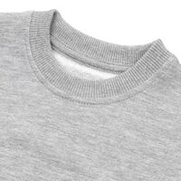 gi-11136.111