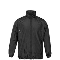 gi-11154.300