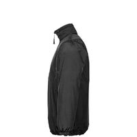 gi-11154.300