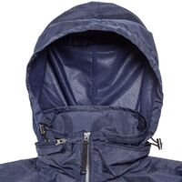 gi-11154.400