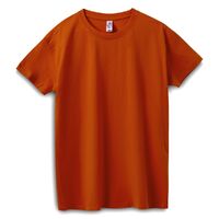 gi-115004073XL