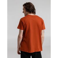 gi-115004073XL