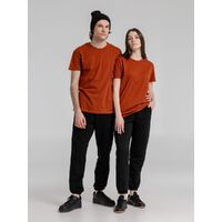 gi-115004073XL