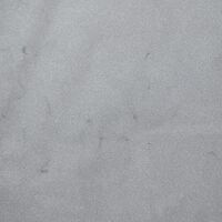 gi-13779.11