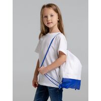 gi-17313.65