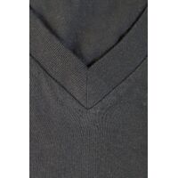 gi-4796.301