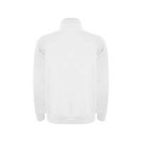 oa-110901L
