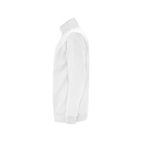 oa-110901L