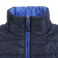 gi-014363183XL