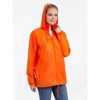 gi-016184003XL