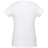 gi-01705102L