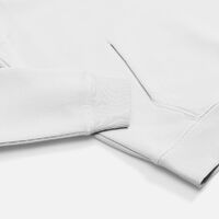 gi-02991102S