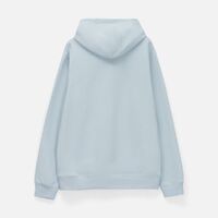 gi-029912513XL