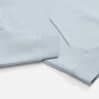 gi-029912513XL