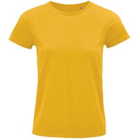 gi-03579301L