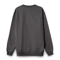 gi-038143483XL