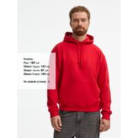 gi-038151613XL