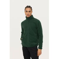 gi-038232663XL
