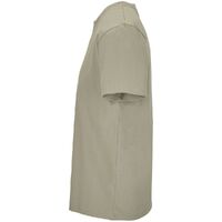 gi-03981268XL