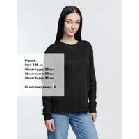 gi-03982309XXL
