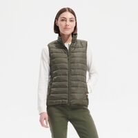 gi-04021319L