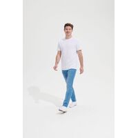 gi-042031173XL