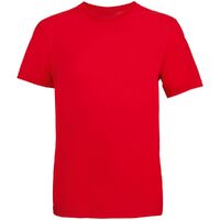 gi-042031453XL