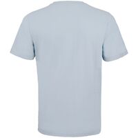 gi-04203240L