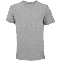 gi-042033463XL