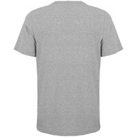 gi-042033463XL
