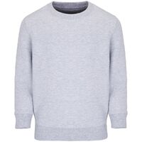 gi-0423936008A
