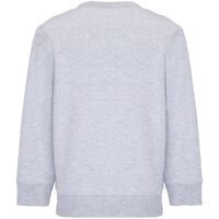 gi-0423936008A