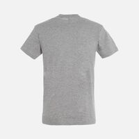 gi-047283503XL