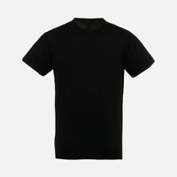 gi-047286503XL