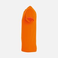 gi-047286573XL