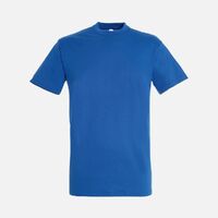 gi-047286663XL