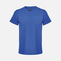 gi-047652413XL