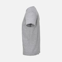 gi-047653503XL