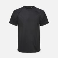gi-04787312L