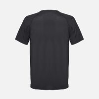 gi-04787312L