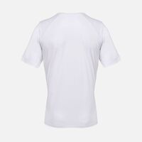 gi-04810102L
