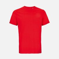 gi-048591613XL